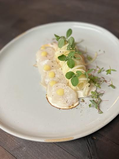 Scallops, kohlrabi and shoot salad