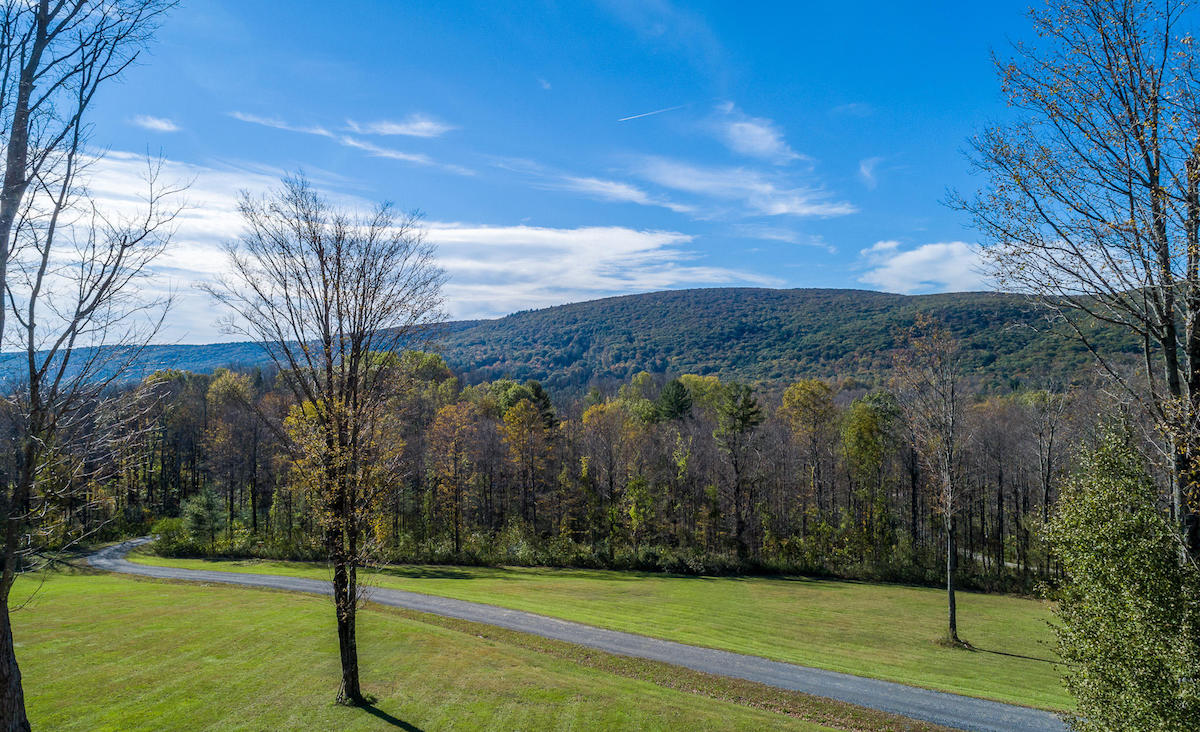 View&nbsp;from the home