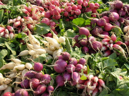 Amenia Farmers' Market