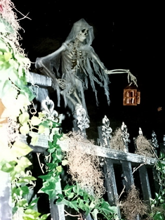 Rural Intelligence Road Trips