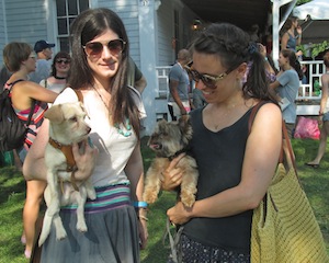 Rural Intelligence Parties and Openings