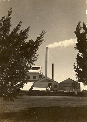 Rural Intelligence Style