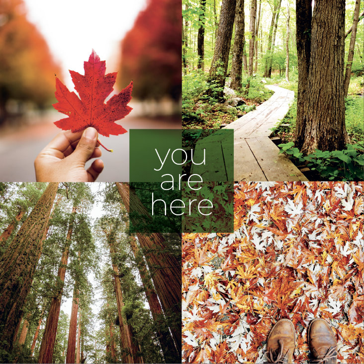 Top Left Photo by &copy; A.J. Gallagher/Unsplash;&nbsp;Top Right Photo by &copy; Carolyn Eckert;&nbsp;Bottom Left Photo by &copy;&nbsp;Connor Limbocker/Unsplash;&nbsp;Bottom Right Photo by &copy;&nbsp;Seth Doyle/Unsplash