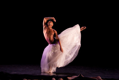 Rural Intelligence Arts