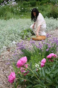 Rural Intelligence Road Trips