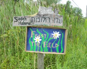 Rural Intelligence Parties and Openings