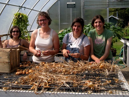 Rural Intelligence Food