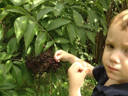 Rural Intelligence Food