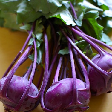 Rural Intelligence Food