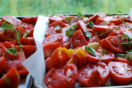 Rural Intelligence Food