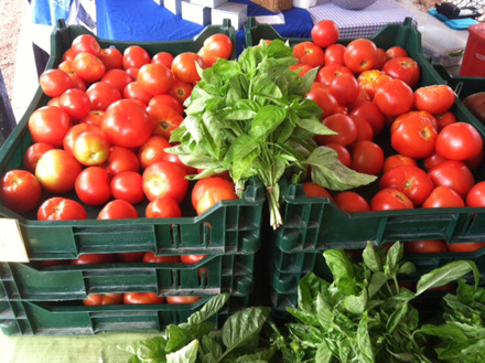 Rural Intelligence Food