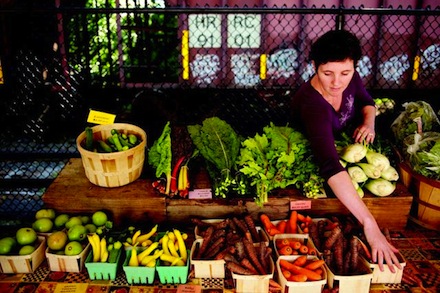 Rural Intelligence Arts