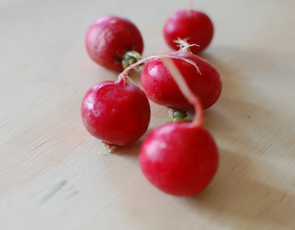 Rural Intelligence Food