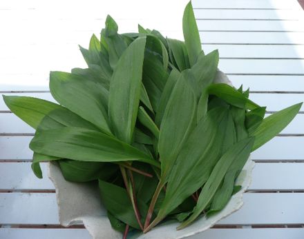 Rural Intelligence Food