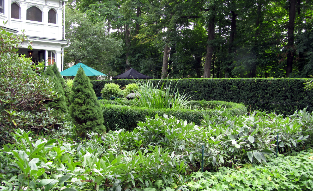 A view of the side garden from the back yard.