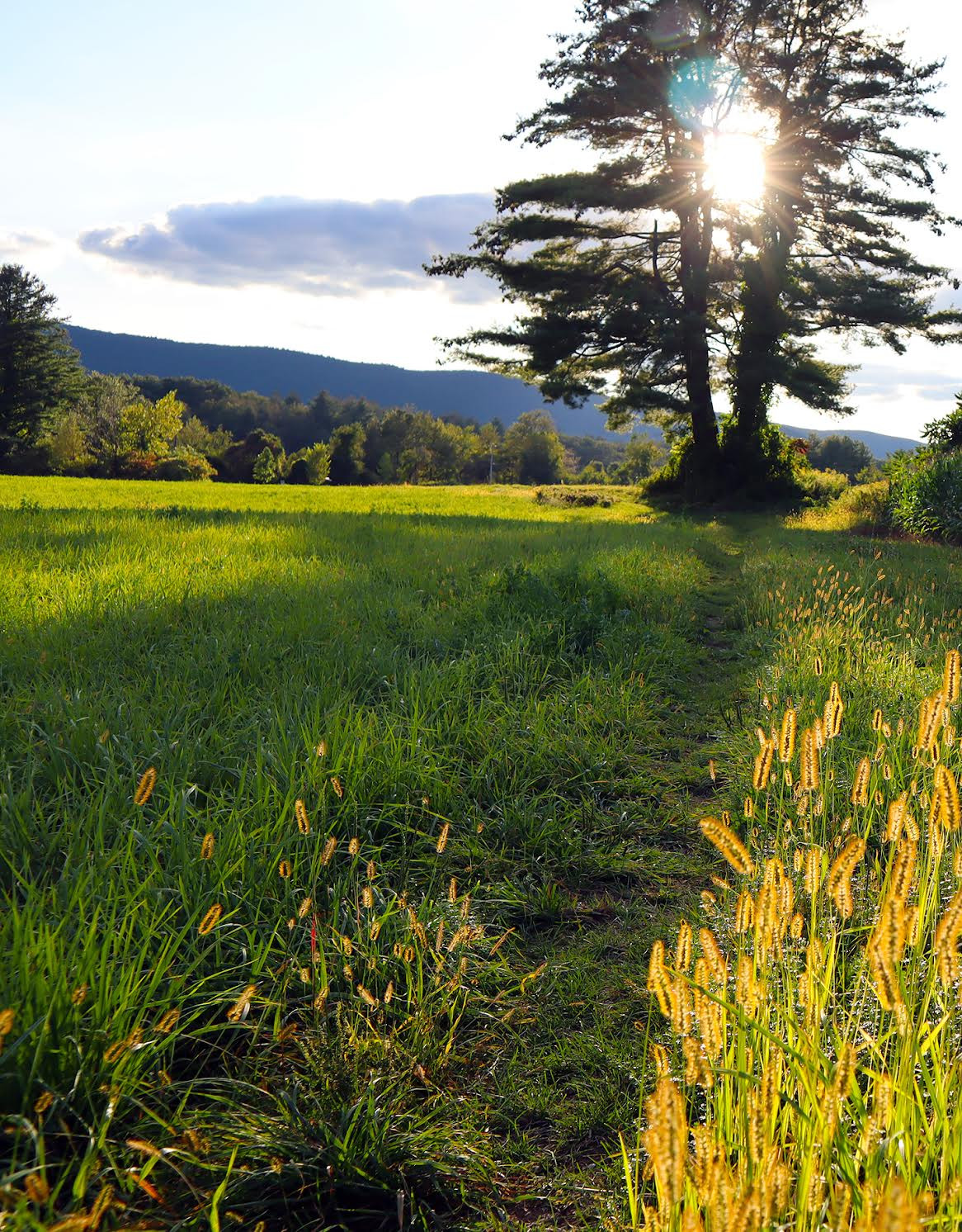 The Appalachian Trail in the Housatonic Valley near the Shay&#39;s Rebellion Monument in Sheffield, Massachusetts