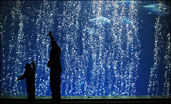 Rural Intelligence Community