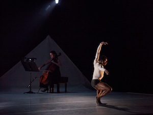 Rural Intelligence Arts