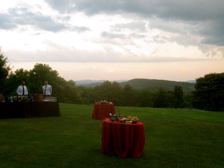 Rural Intelligence Parties and Openings