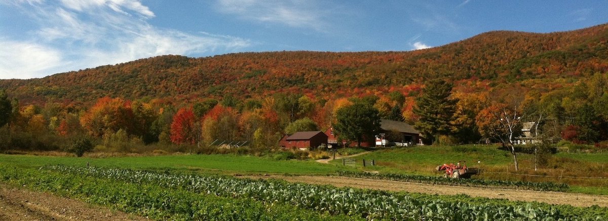Photo courtesy of Caretaker Farm Photo courtesy of Caretaker Farm