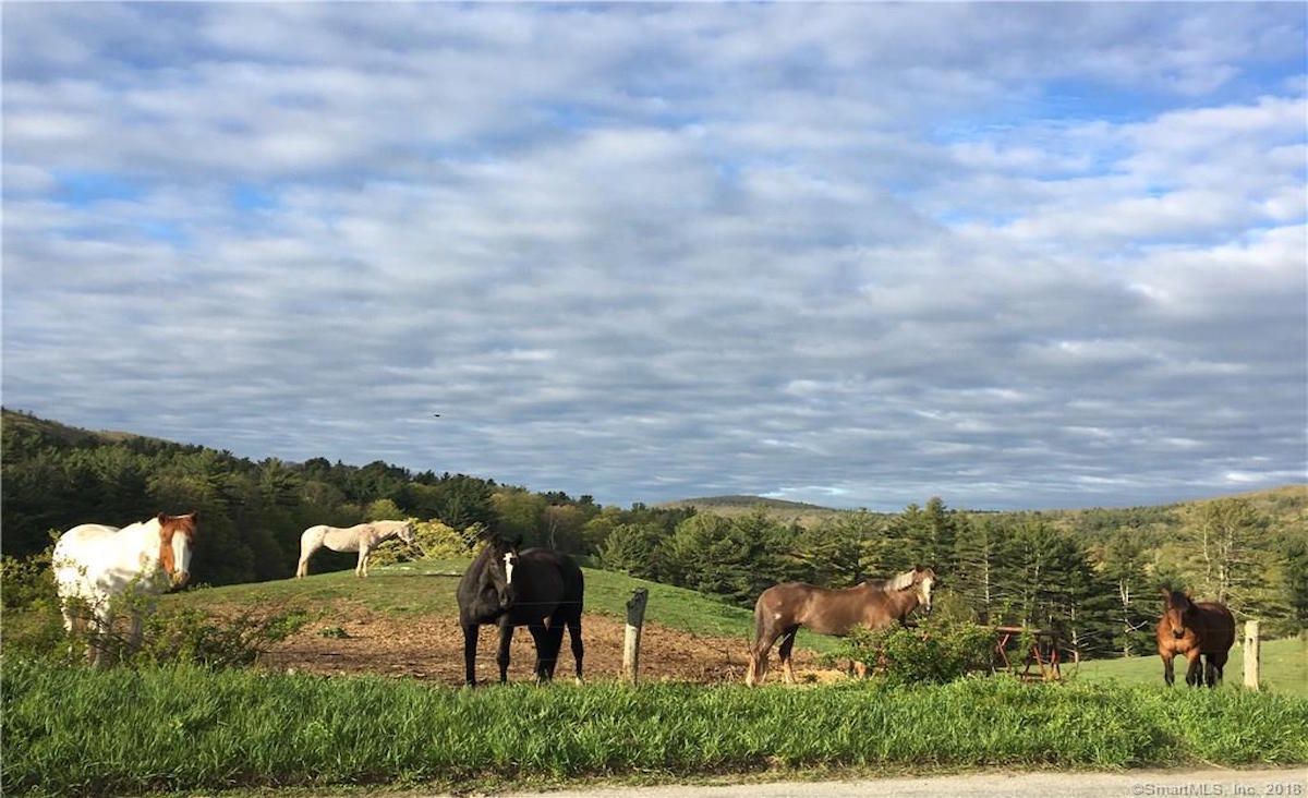 Horse barns, pasture and riding trails