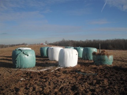 Rural Intelligence Food