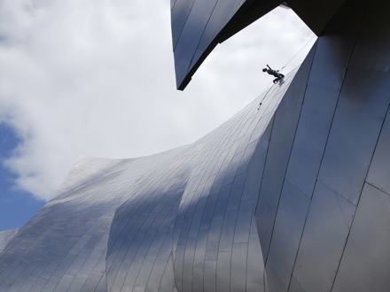 Rural Intelligence Arts