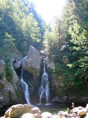 Rural Intelligence Community