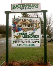 Rural Intelligence Style