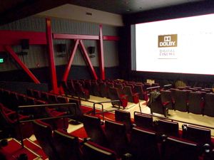 Rural Intelligence Community