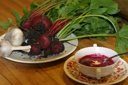 Rural Intelligence Food