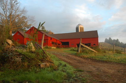 Rural Intelligence Arts