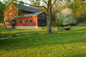 Rural Intelligence Arts