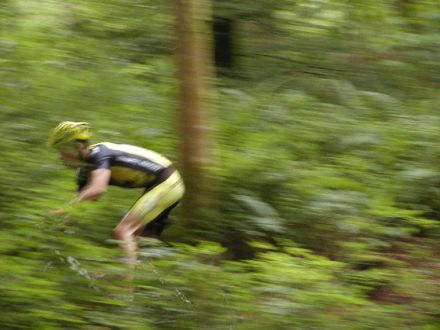 Rural Intelligence Road Trips