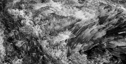 Rural Intelligence Arts