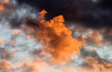 Rural Intelligence Arts