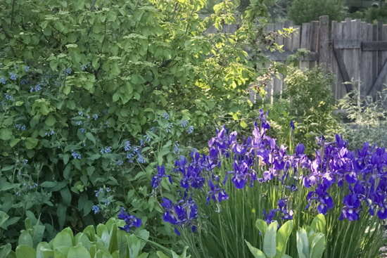 Rural Intelligence Road Trips