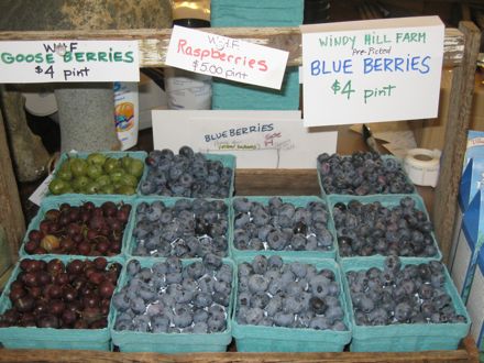 Rural Intelligence Food