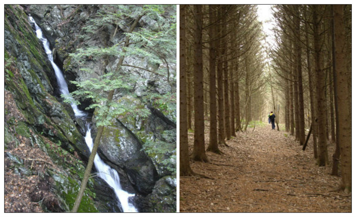 Stevens Glen. Photos courtesy Berkshire Natural Resources Council