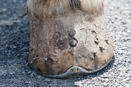 Rural Intelligence Community