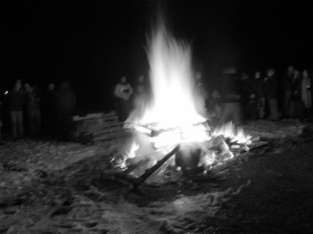 Rural Intelligence Food