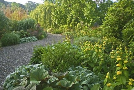 Rural Intelligence Style