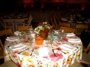 Rural Intelligence Parties and Openings