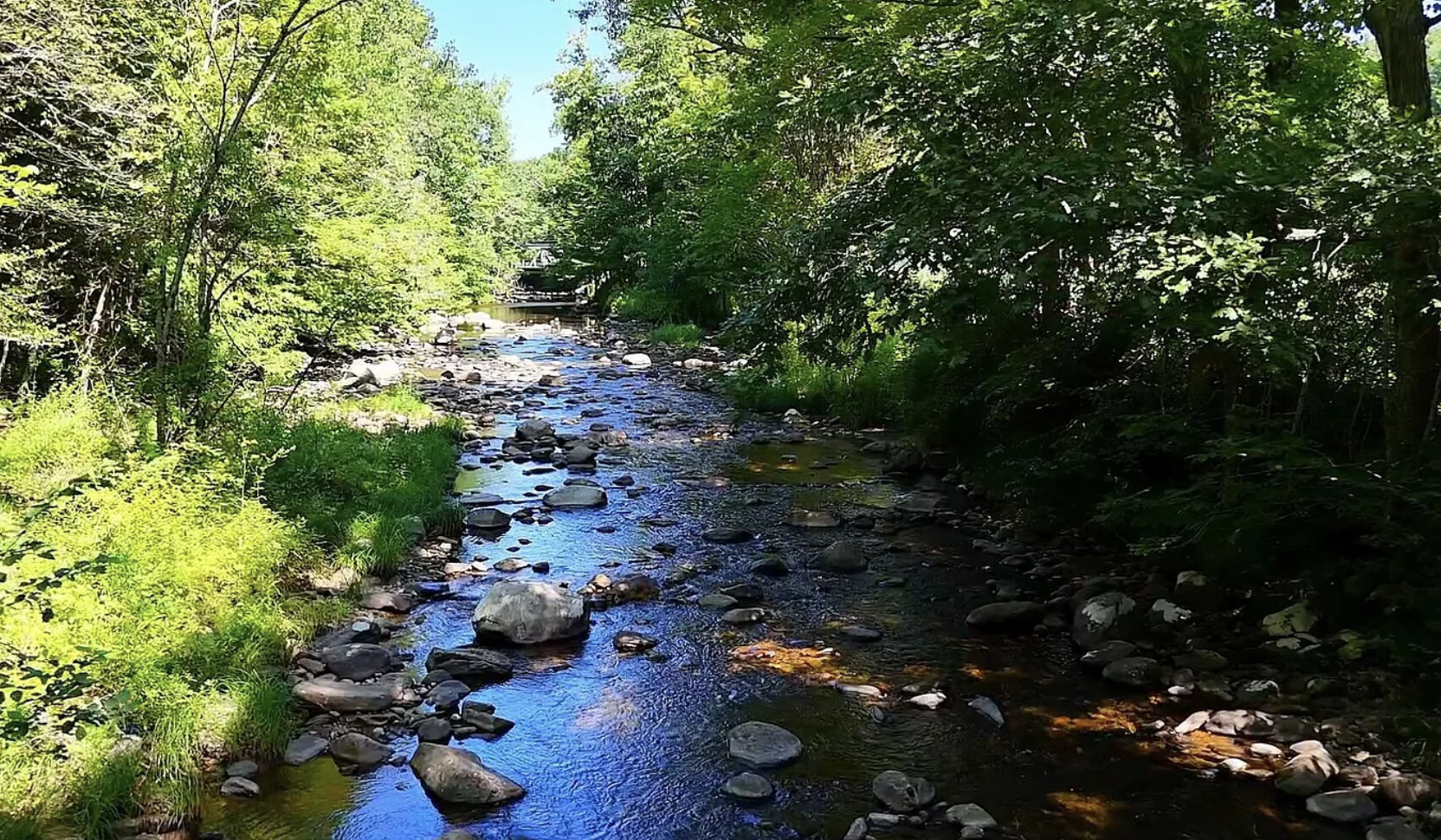 The mighty Clam River.