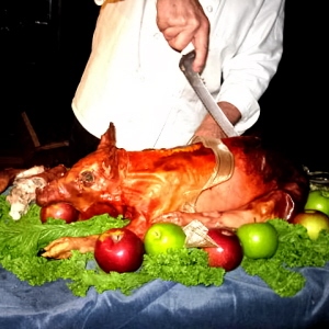 Rural Intelligence Parties and Openings