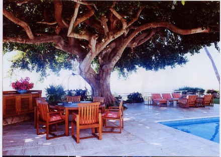 Rural Intelligence Style