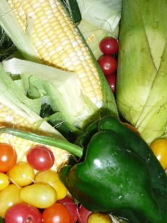 Rural Intelligence Food