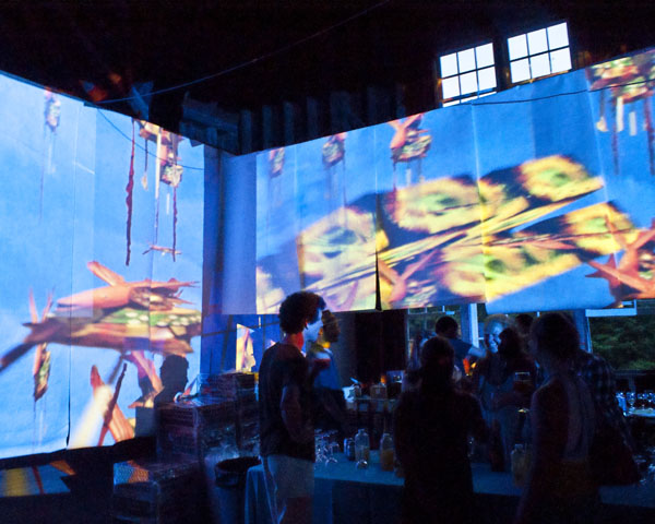 Rural Intelligence Parties and Openings