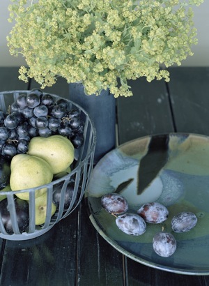 Rural Intelligence Style