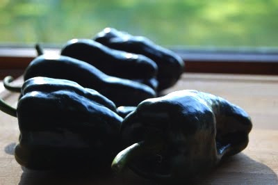 Rural Intelligence Food